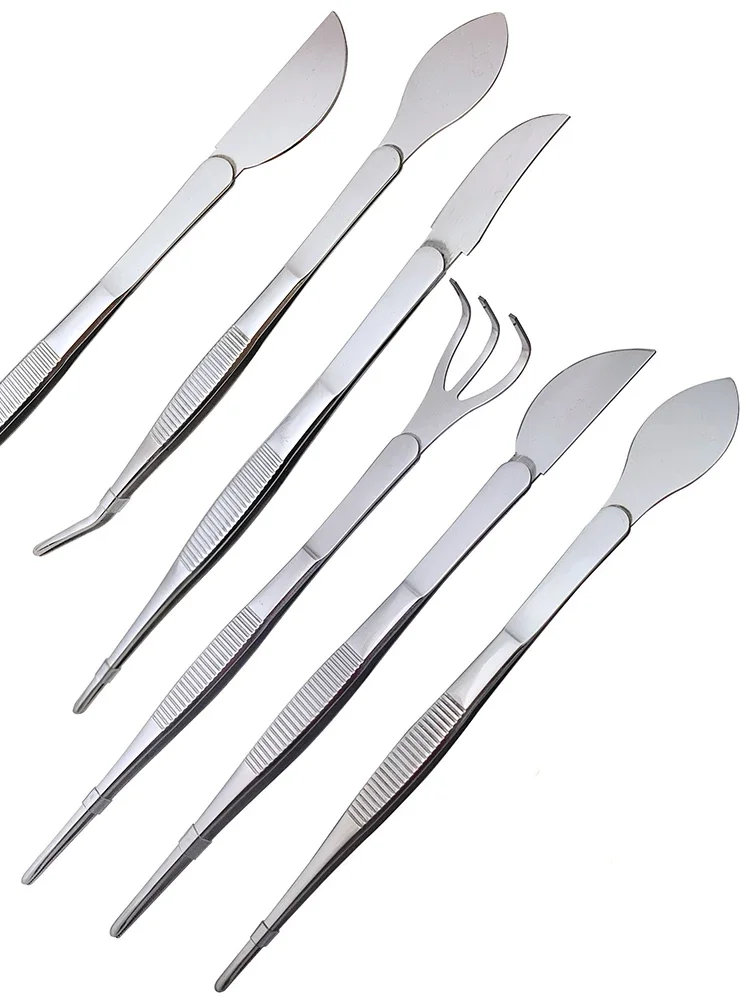 Bonsai Garden Rake - 1 st 2-in-1 304 Rvs Wortelhark