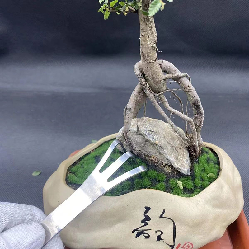 Bonsai Garden Rake - 1 Pc Rvs Wortel Hark Bonsai