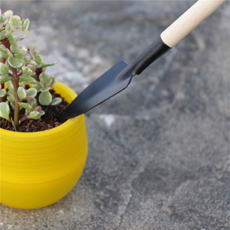 3pcs Mini Tuin Schop Hark Spad - Bonsai Garden Rake recensie en prijs