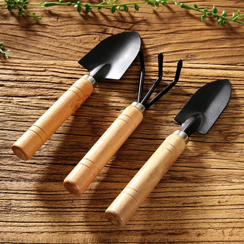 3pcs Mini Tuin Schop Hark Spad - Bonsai Garden Rake recensie en prijs