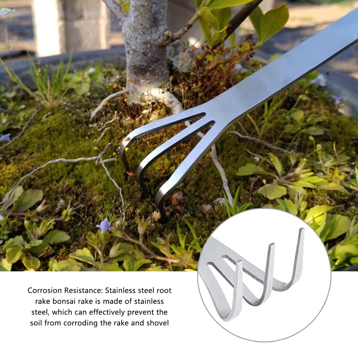 100 stuks roestvrij staal 3-po - Bonsai Garden Rake recensie en prijs