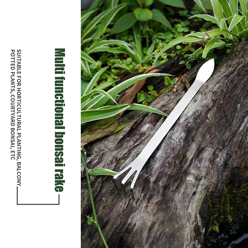 1Pc Rvs Wortelhark 3-Prong Los - Bonsai Garden Rake recensie en prijs
