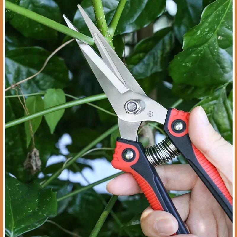 NEWSHARK Roestvrijstalen snoei - Bonsai Garden Rake recensie en prijs
