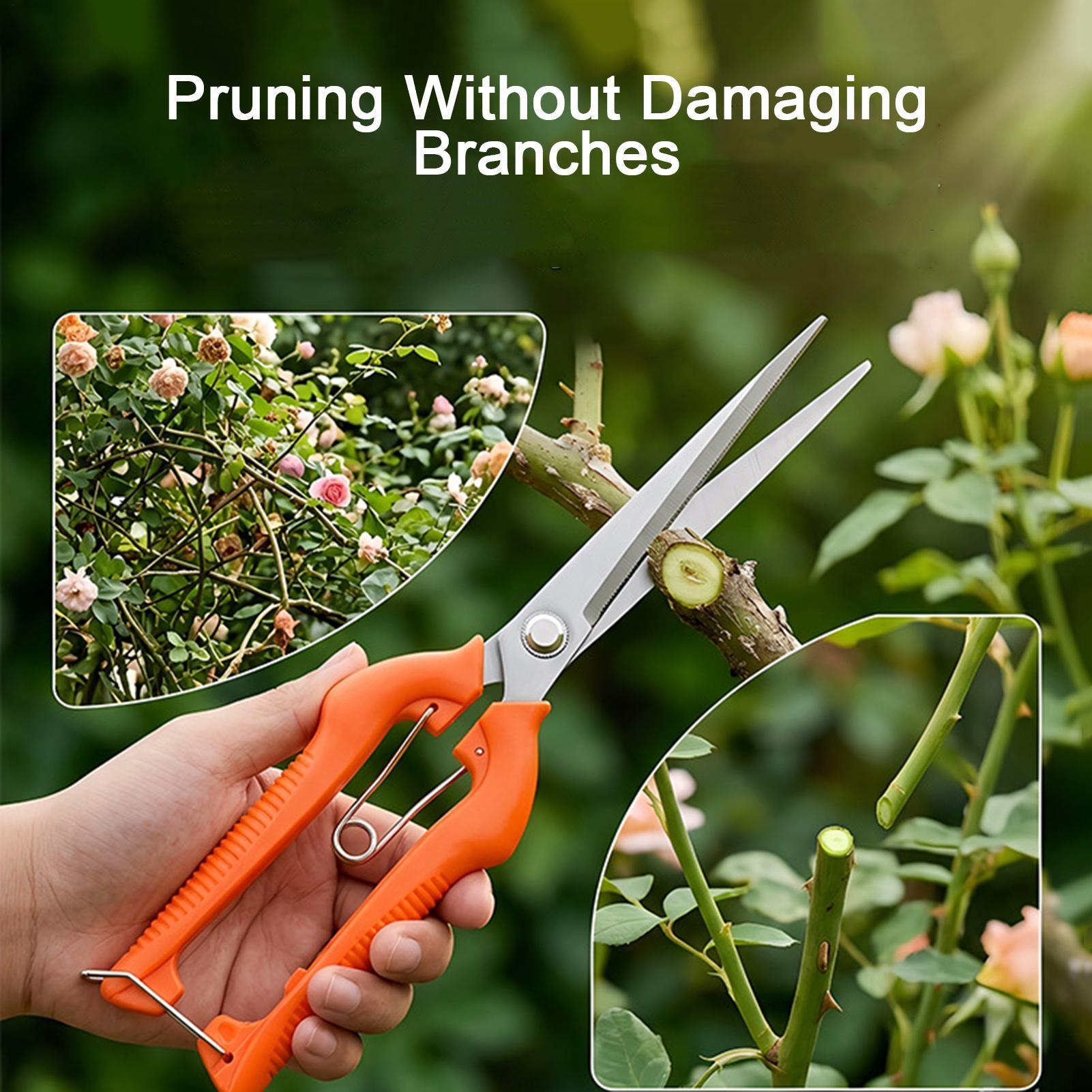 Snoeischaar Druivenschaar Tuin - Bonsai Garden Rake recensie en prijs