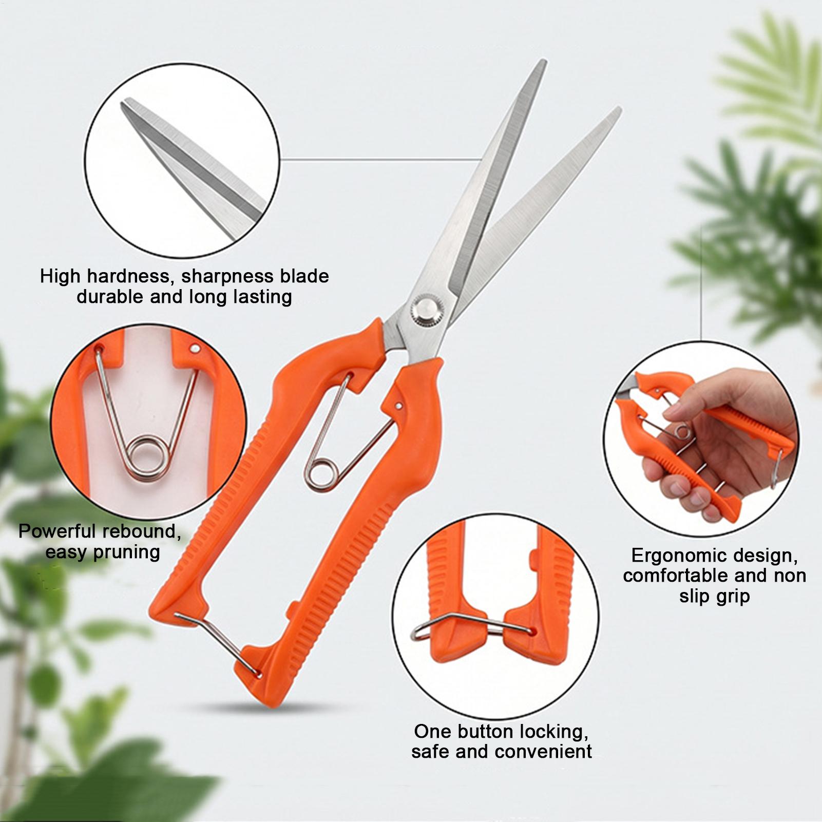 Snoeischaar Druivenschaar Tuin - Bonsai Garden Rake recensie en prijs