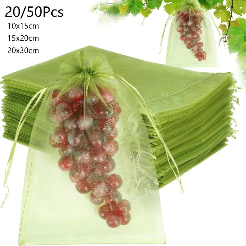 *20/50 Stuks Herbruikbare Frui - Bonsai Garden Tree recensie en prijs