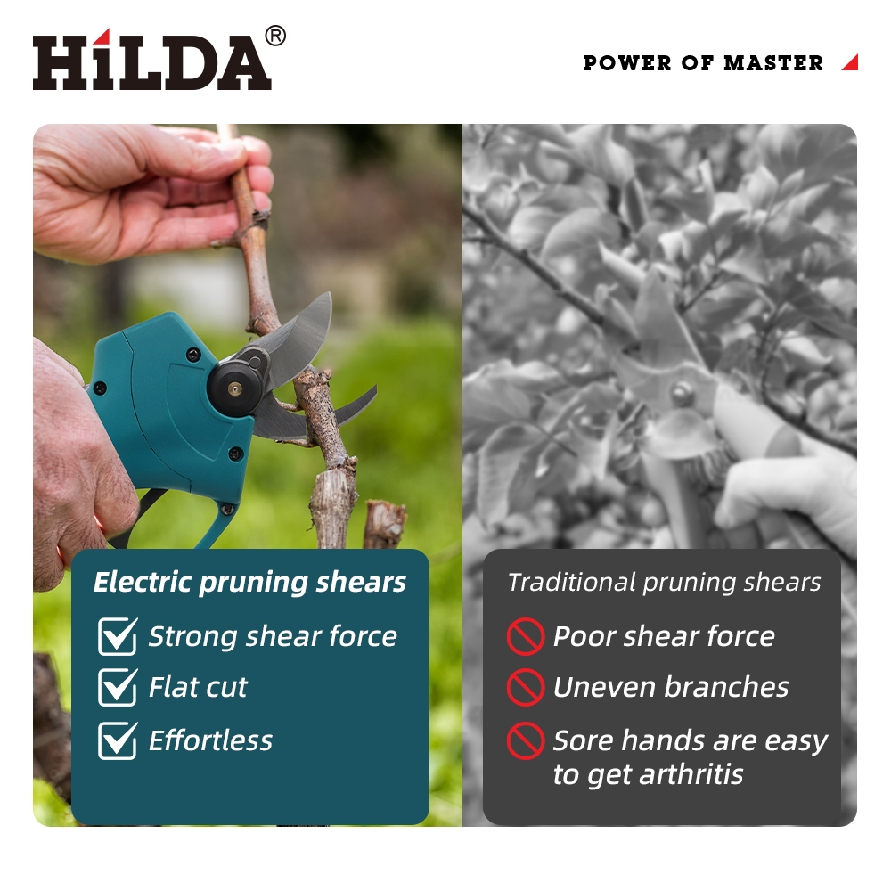 HILDA 18V Borstelloze Draadloz - Bonsai Garden Tree recensie en prijs