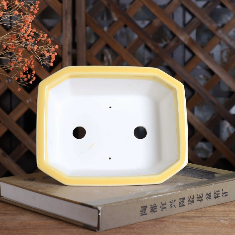 Porseleinen rechthoekige bonsa - Bonsai Garden Table recensie en prijs