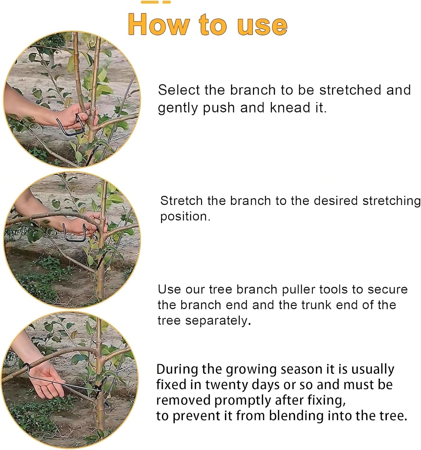 Verstelbare fruitboomtakvormer - Bonsai Garden Tree recensie en prijs