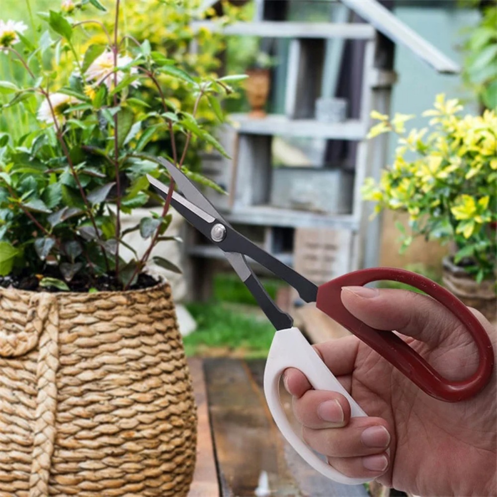 Bonsai Gereedschap Schaar Met  - Bonsai Garden Rake recensie en prijs