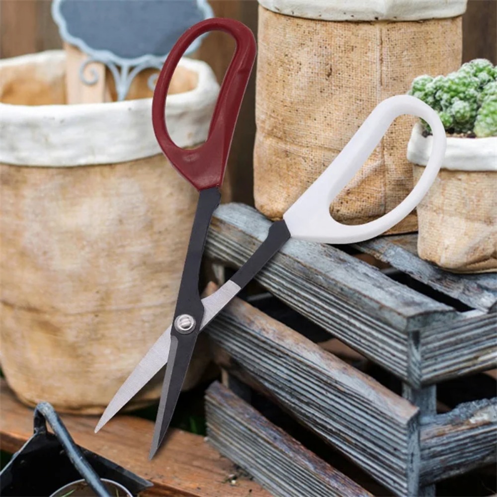 Bonsai Gereedschap Schaar Met  - Bonsai Garden Rake recensie en prijs