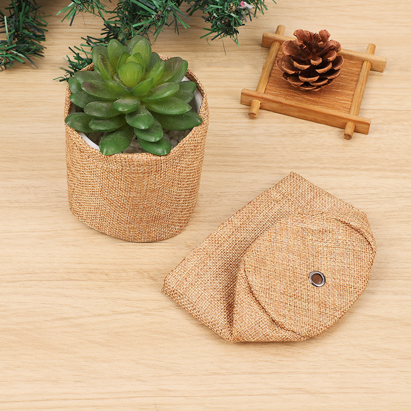 Bonsai Boom Kit Mini Vetplante - Bonsai Garden Grow Kit recensie en prijs