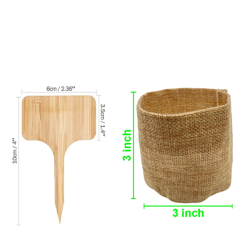 Bonsai Boom Kit Mini Vetplante - Bonsai Garden Grow Kit recensie en prijs