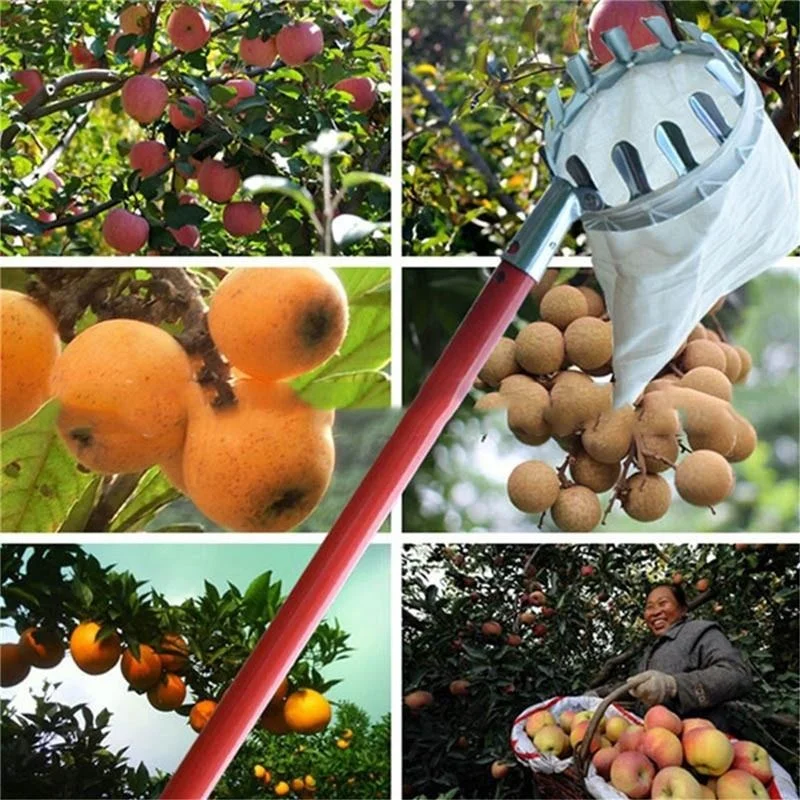 Boerderij Fruitplukker Tuin Bo - Bonsai Garden Tree recensie en prijs
