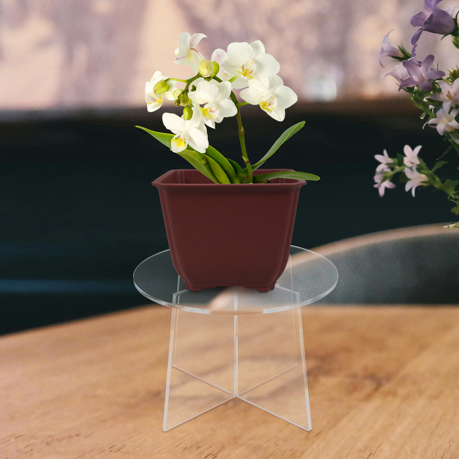 Acryl plantenstandaard voor su - Bonsai Garden Display Stands recensie en prijs